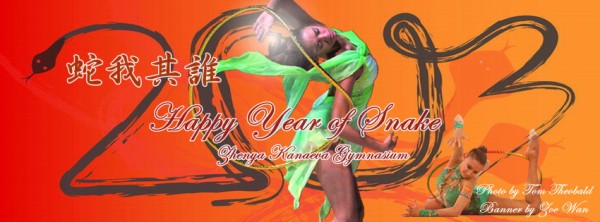 ZKG FB Cover-Year of Snake 2013-Zoe-850x315